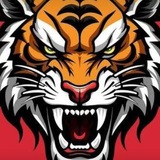 Tiger bhai 2