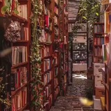 Юнгианские чтения