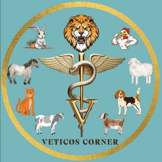 Veticos Corner