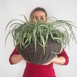 Cannage / Каннаж