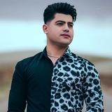 amirhafez_music 🎼