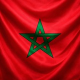 روبوت التداول VIP