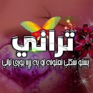 پښتو ښکلي نعتونه او په زړه پوري تراني
