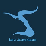 Bursa Academy Channel قناة أكاديمية البورصة