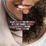 ISLAMIC QUOTES & VIDEO'S