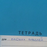 тетрадь для плохих мыслей