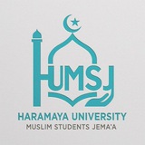 Academic sector of HUMSJ