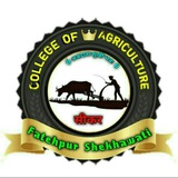 College Of Agriculture Fatehpur (SKNAU) Shekhawati Sikar