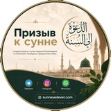 "Призыв к сунне"