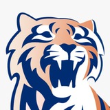 АМБА 🐅