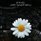 ملجئي.