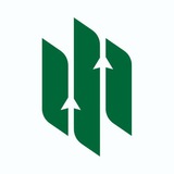 BASE FOREX