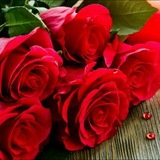The Red Roses 🌹