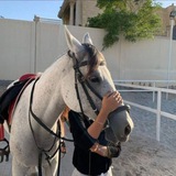 - ᷂سين،القطعاني .
