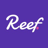 Reef Announcements