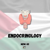 Endo & Breast 🇵🇸