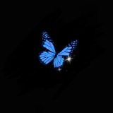 вυττєяfℓy 🦋