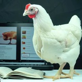 Картинка канала