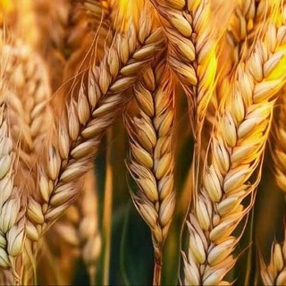 رحلة الوعي مع ماستر ريما ✨ ❤️🔥
