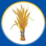Prosperity Party A.A - ብልፅግና