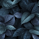 Mobile wallpapers images HD