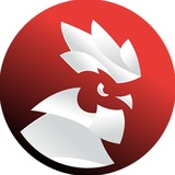 Спорт-Экспресс | Sport-Express