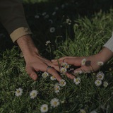 اقتباس