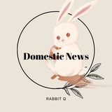흰토끼 국내뉴스