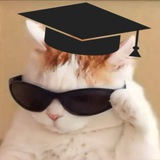✨ طريقك نحو الرسوب ✨