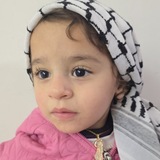 Son of Gaza 🇵🇸 ✌️ <i class="emoji" style="backgrou