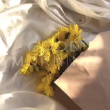 اقتباسات سنابيه 📜 🌼