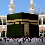 شرکت زیارتی نور کوثر مدینه