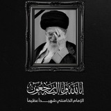 النائب علا عودة الناشي