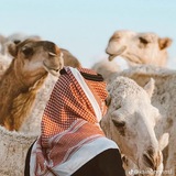 محمد الشلاقي 📸