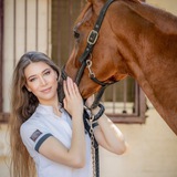 Биомеханика лошади