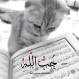 ﮼حُبّ اللَّه ᨳ.