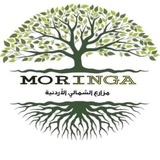 المورينجا الاردنية