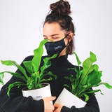⸤ بــهـار ســبـزمـــ 🌱 ⸣