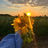 أيّار | 𝐌𝐀𝐘 💛 🌻