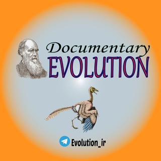 Evolution Documentary