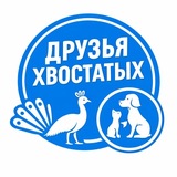 Друзья Хвостатых
