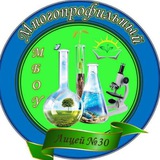 Официальный канал МБОУ «Многопрофильный лицей 30» г. Махачкала