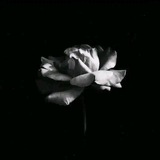 أَثَـرٌ جَمِيـلٌ قَبلَ الرَّحِيــــل𓂆 🪴 .