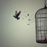 هَذِهِ سَبِيلِي.