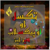 ﴿تَکْسِـلْ اَوْ پِیْکْـسَلٰاپْ دِیْــزٰایْن﴾