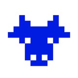 BitPolito