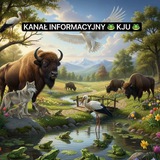Kanał informacyjny 🐸 KJU 🐸