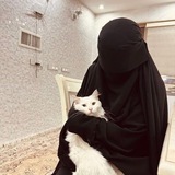 ملاذ التائهين 🤍 🌿