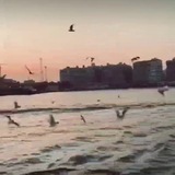 🌏 السياحة حول العالم 🌍
