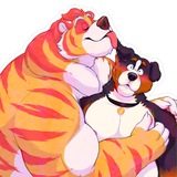 The cat and the bear